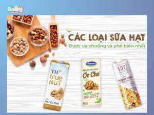 Top 5 các loại sữa hạt trên thị trường tốt nhất mẹ bầu đã thử chưa ?