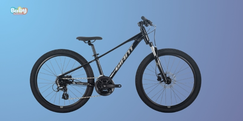 Giant Xtc Jr 24 Disc 2025