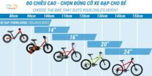 Xe Đạp Trẻ Em Theo Độ Tuổi